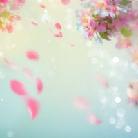 みさ (@xuujk1) 's Twitter Profile