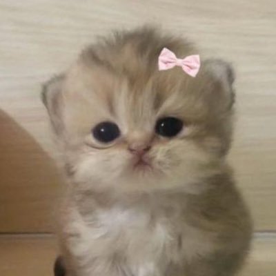 June 🌙さんのプロフィール画像