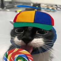 Zoomy (@darklordzoomy) 's Twitter Profile Photo Zoomy (@darklordzoomy) 's Twitter Profile Photo