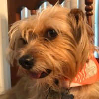 Tricia (@nebulosa05) 's Twitter Profile Photo