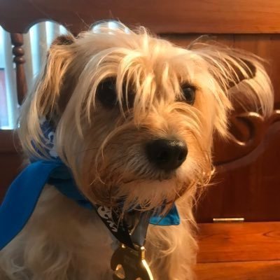 asanadistancia's profile picture. Para mensajes simples y algunas perlas de sabiduría esporádicas.