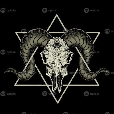 Omid48438435's profile picture. OMforever