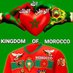 🇲🇦🇲🇦🇲🇦🇲🇦 🦁 أسد الصحراء المغربية (@ghamiriabdella1) Twitter profile photo