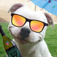 Ryan (@upulag) 's Twitter Profile