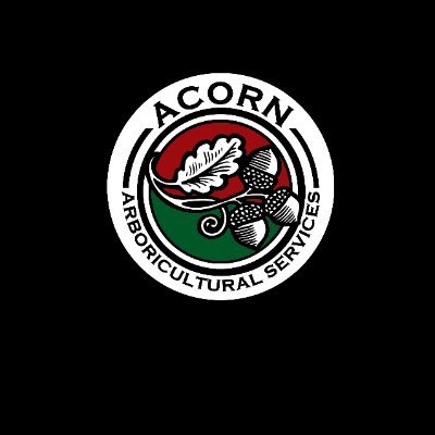 @acorn_arbor