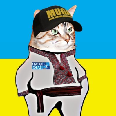 โ Decolonize ruzzia ๐ผ Profile