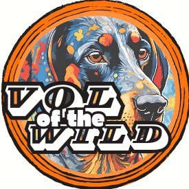 V0LofTheWild Profile Picture