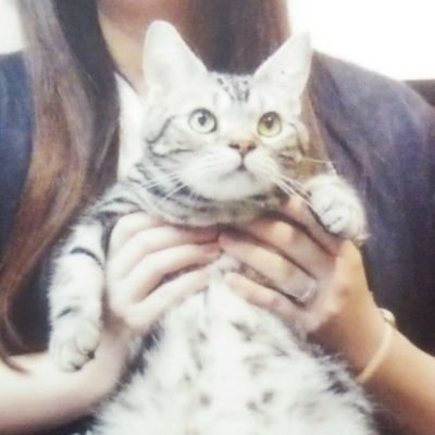xxxa0915xxx's profile picture. 