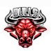 Bulls (@bullspromos) Twitter profile photo