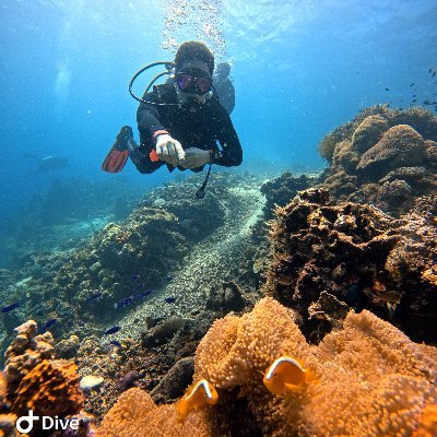 kobe26048818245's profile picture. 