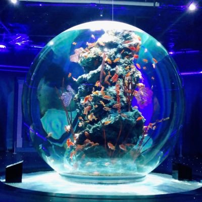 英検/読書/ポーカー/水族館etcやりたいことがいっぱいあります！