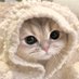 maleya♡ late reply (@babytentennn) Twitter profile photo maleya♡ late reply (@babytentennn) Twitter profile photo
