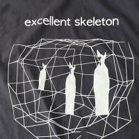 Excellent Skeleton (@exskeleton) 's Twitter Profile Photo