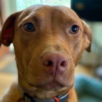 haforlo's profile picture. Mommy, librarian, and Loretta Lynn lover. All sarcasm is my own.