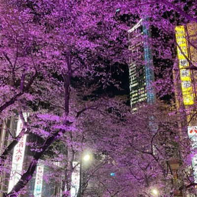 mzplesy's profile picture. 