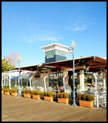 For more than 30 years, Scott's Restaurant has been the standard by which fresh seafood and commitment to quality have been known in the East Bay.