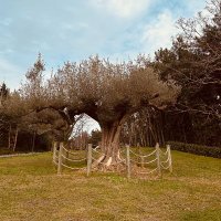 Melih Deniz Sevin (@love2025sevin) 's Twitter Profile Photo