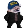 NitnelavGS's profile picture. Scum of the internet. Waffenlieferungsultra. Sucker for Ukraine. Military aid to Kostya of 47th + @trinzu + @rimafellaria +u24. Humanitarian aid @fellas4europe