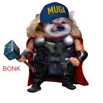 CopeLord3000's profile picture. Just here to pronounce nonsense. Militant centrist. Swedish division of mentally unstable biolab dogs. #WeAreNAFO #StandWithUkraine