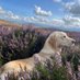 MARK EWART (@ewart2mark) Twitter profile photo MARK EWART (@ewart2mark) Twitter profile photo