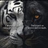 gbenga_mufasa's profile picture. 