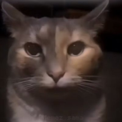 shbreakcore's profile picture. Dayli SH breakcore posting, DM OPEN for songs