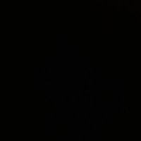 Desmond Woullard (@desmondwoullard) 's Twitter Profile Photo