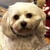 Digenis (@theoufo) Twitter profile photo Digenis (@theoufo) Twitter profile photo