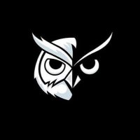 Snowy owl (@cybergsta) 's Twitter Profile