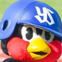 サジク(@ys22_hero) 's Twitter Profile Photo