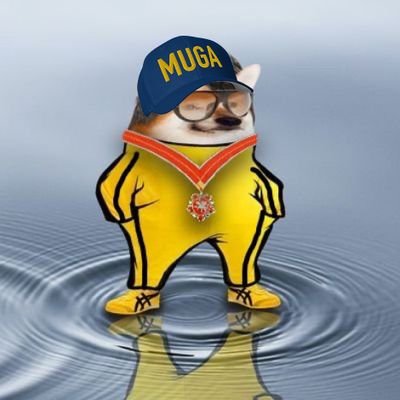 scootey's profile picture. Liberal or not, bias is irrelevant to the truth. I follow back in most cases. UT Austin alum. #StandwithUkraine  #NAFO #USBastardsDivision