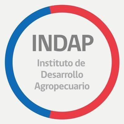Somos parte del @MinagriCL 🇨🇱 e @INDAP_Chile , con quienes trabajamos por el desarrollo de la #AgriculturaFamiliarCampesina 🧑🏽‍🌾🌳