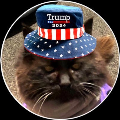 Ultra Deplorable . Twitter 2008 . Previous account was @ Real Patriot Lion . No DM’s . Spaces . Trump 2024 !