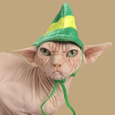 I‘am $Loki the Sphynx cat.

Pet me if you can! I have 100K Followers on Instagram, How many holders can i have?

https://t.co/Sni6YQCDge