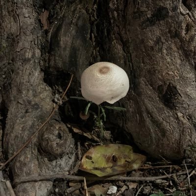malinpurson's profile picture. 