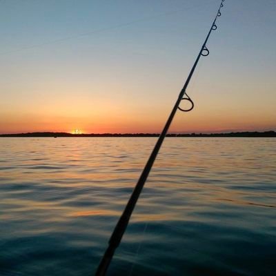 sealarkbtc's profile picture. I ❤️ Bitcoin and so do you 🤗