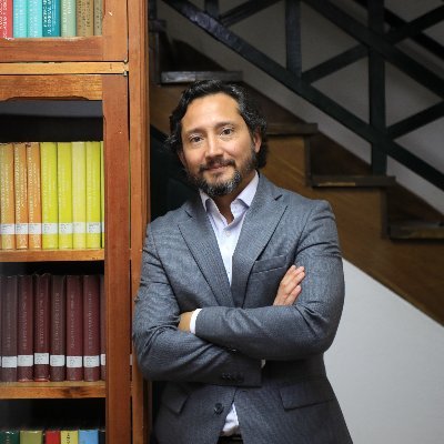 Profesor e investigador - Derecho Constitucional, derechos humanos, Pueblos indígenas y afrodescendientes