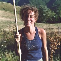 Jesse Newman (@jessenewman13) 's Twitter Profile