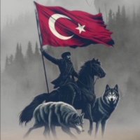 Bozkurtlar Milli Duruş 🇹🇷(@bozkurtlarmilli) 's Twitter Profile Photo