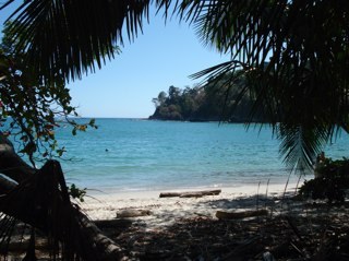 mbtobias1's profile picture. 