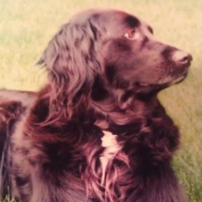 DaveFranci84851's profile picture. 