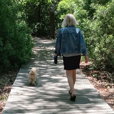 🏇 Racehorses 🏇 Cat lady who fell in love with a dog.💗Cape May & Key West 🌞