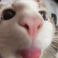 Cielo (@mqy_90) 's Twitter Profile