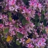 noahtaytay13's profile picture. 🇯🇵 swiftie | 20 | #rep tour Tokyo x2