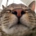 yuvi (@crypto_yuvi) Twitter profile photo yuvi (@crypto_yuvi) Twitter profile photo