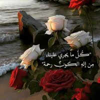 الشاعرة والكاتبة فجر زهران(@fajr_f077) 's Twitter Profile Photo