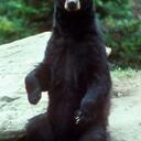 Christopher Heim - @HeimBooksINC - Twitter