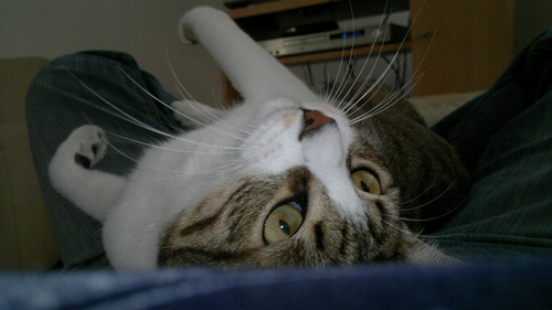 nohemiShinita's profile picture. 