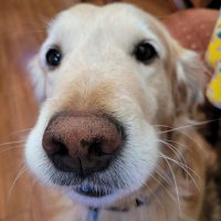 Lucky One (@agapimuagapimu) 's Twitter Profile