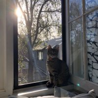 SLP | SARAH (@smq50520) 's Twitter Profile Photo